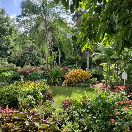 Andromeda Botanic Gardens
