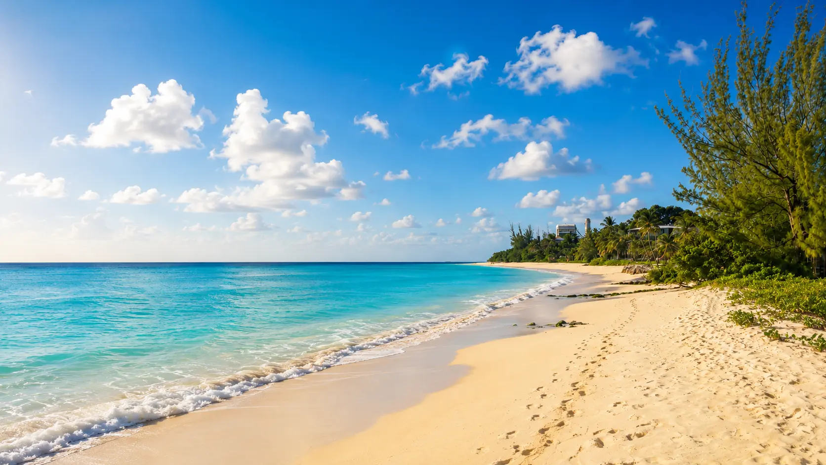 Beautiful Barbados beach